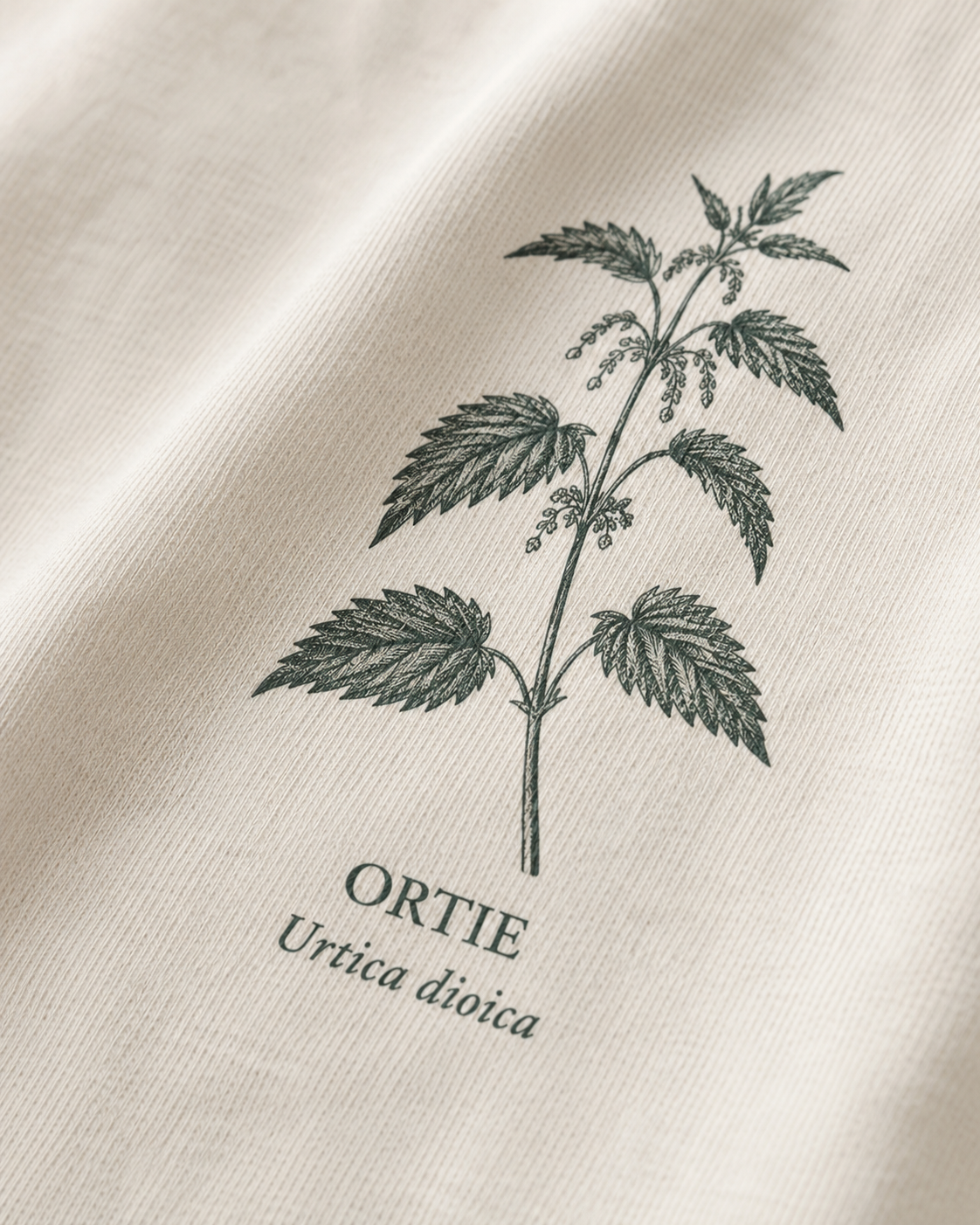 T-Shirts - Ortie