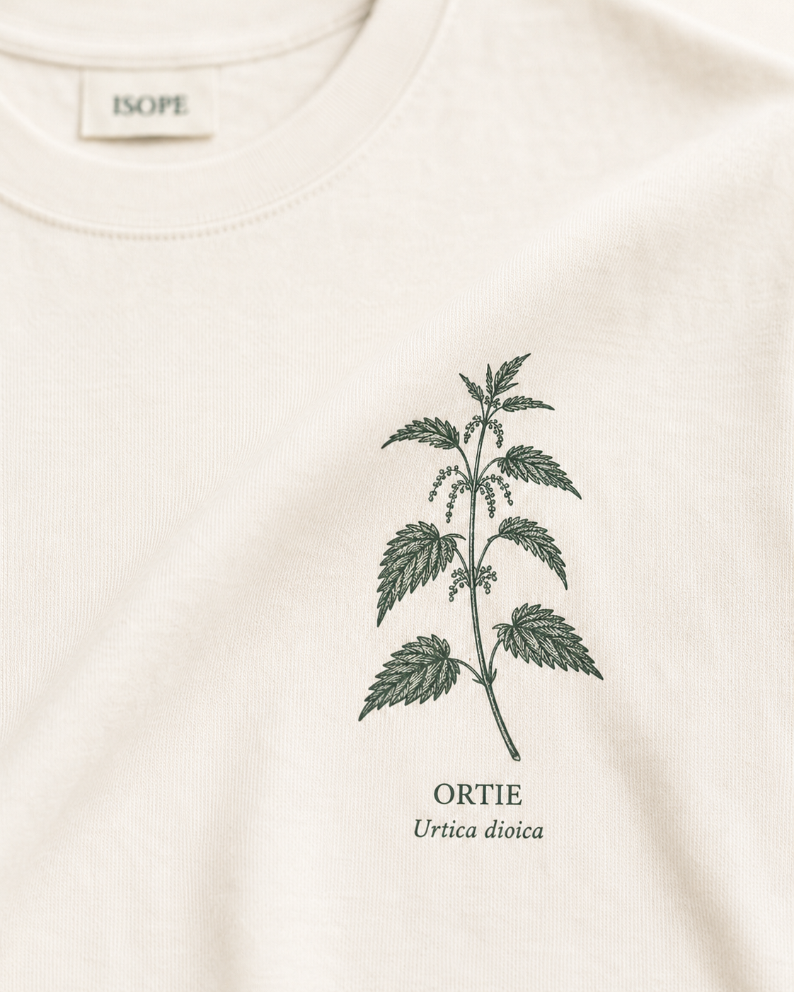 T-Shirts - Ortie